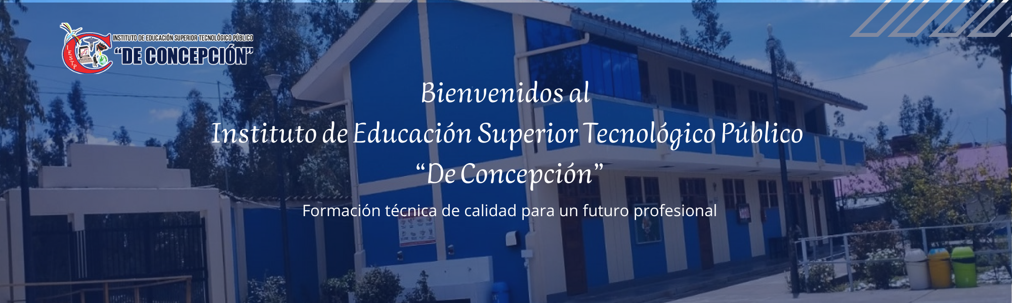 Imagen de una enfermerda en representación de la carrera de enfermería técnica