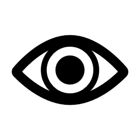Ícono de un ojo que representa la visión de la institución